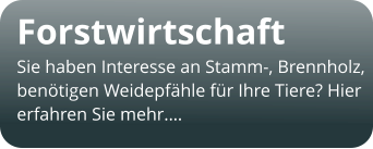 Forstwirtschaft Sie haben Interesse an Stamm-, Brennholz,  benötigen Weidepfähle für Ihre Tiere? Hier  erfahren Sie mehr.…